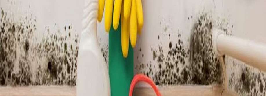 Charm City Mold Inspections Cover Image